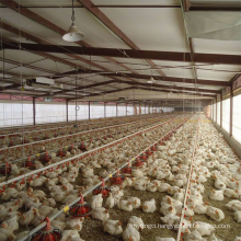 chicken shed house poultry farm for sale chicken coop house chicken egg farm building poultry